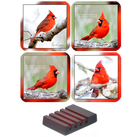 Cardinal Set