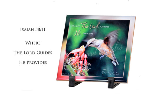 Rufous Hummingbird / Isaiah 58:11