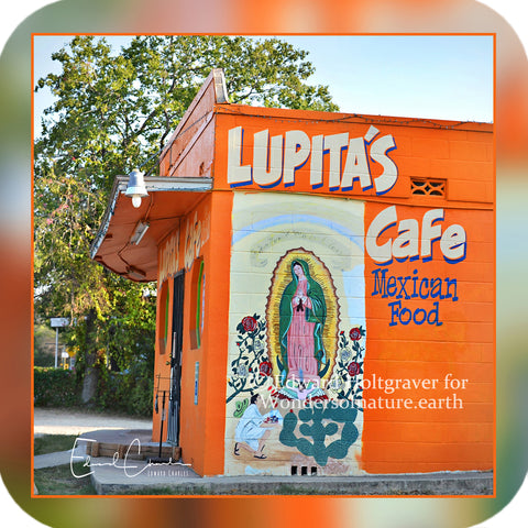 Structures - Lupita's Cafe in San Antonio
