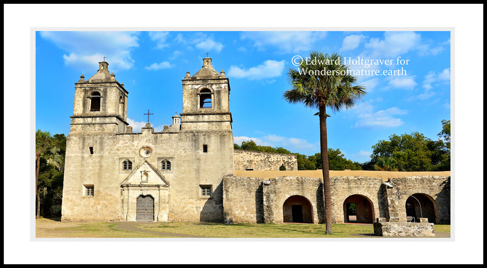 Mission Concepcion in San Antonio 20" x 40"