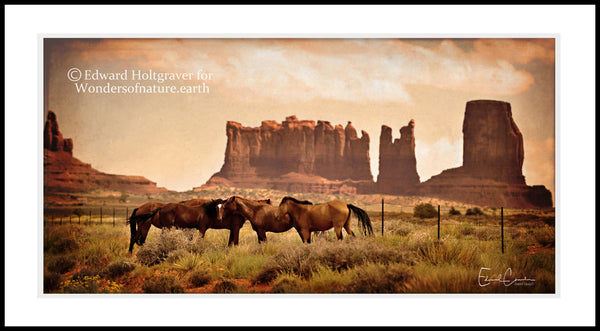 Navajo Horses 20" x 30"