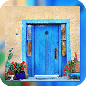 Structures - Blue Door from Tucson, Arizona