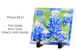 Bluebonnets / Psalm 84:11