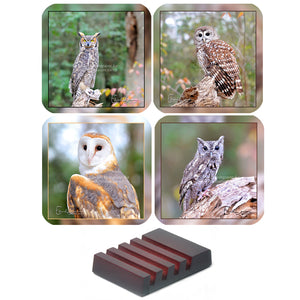 Owl set