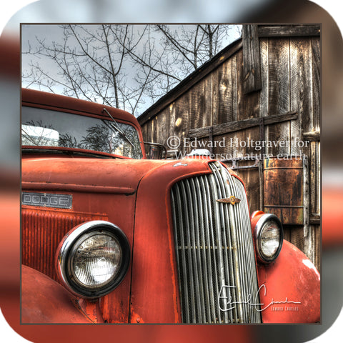 Rust - Dodge