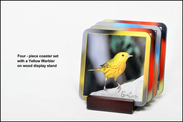 Birds - Yellow Warbler