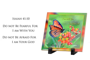 Queen Butterfly / Isaiah 41:10
