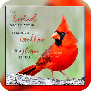 Cardinal Poem