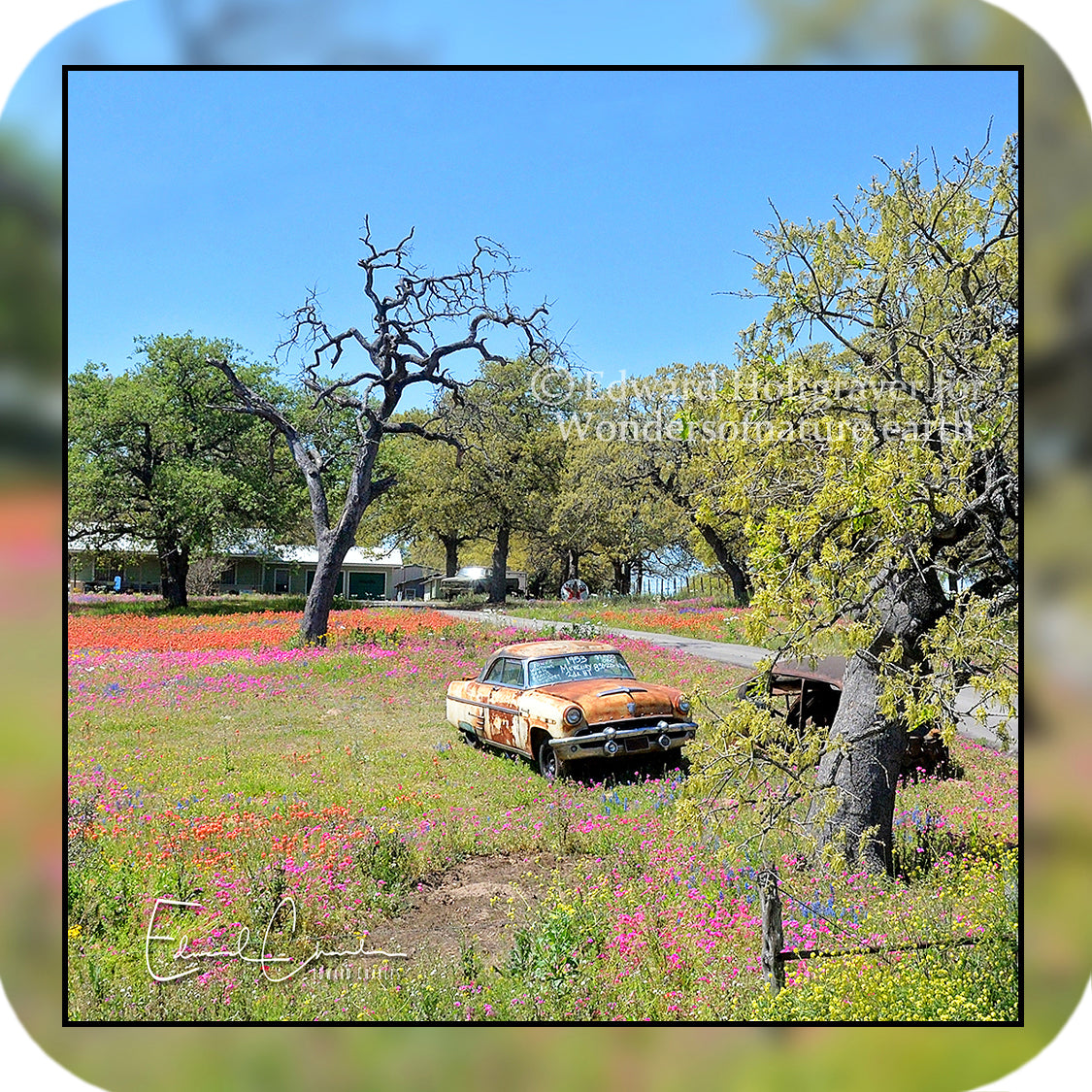 Rust - Car in Field