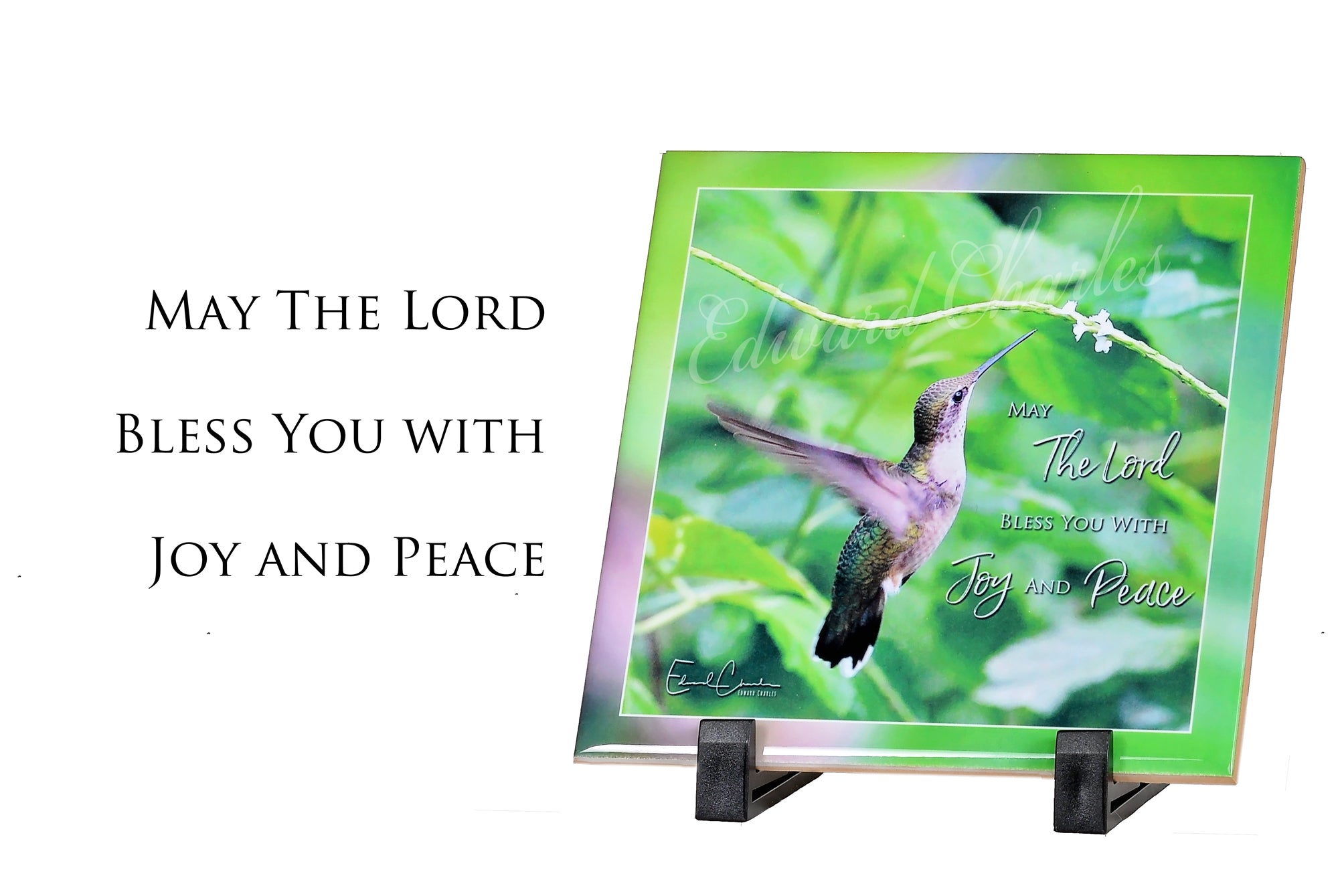 Hummingbird