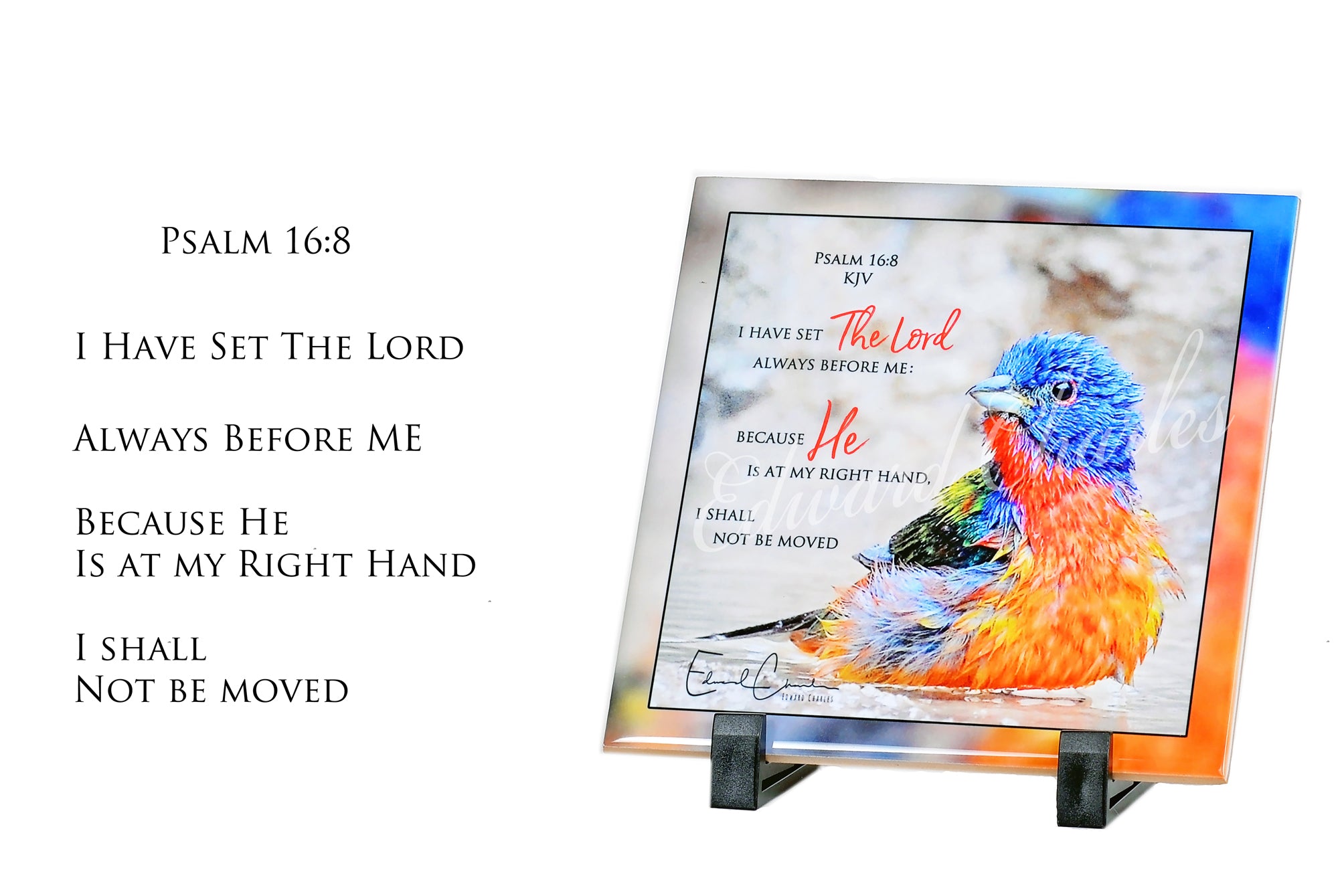 Painted Bunting / Psalm 16:8