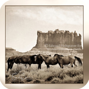 Navajo Horses