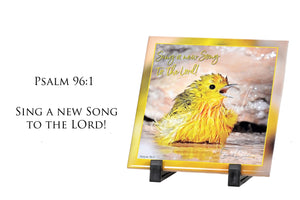 Yellow Warbler / Psalm 96:1
